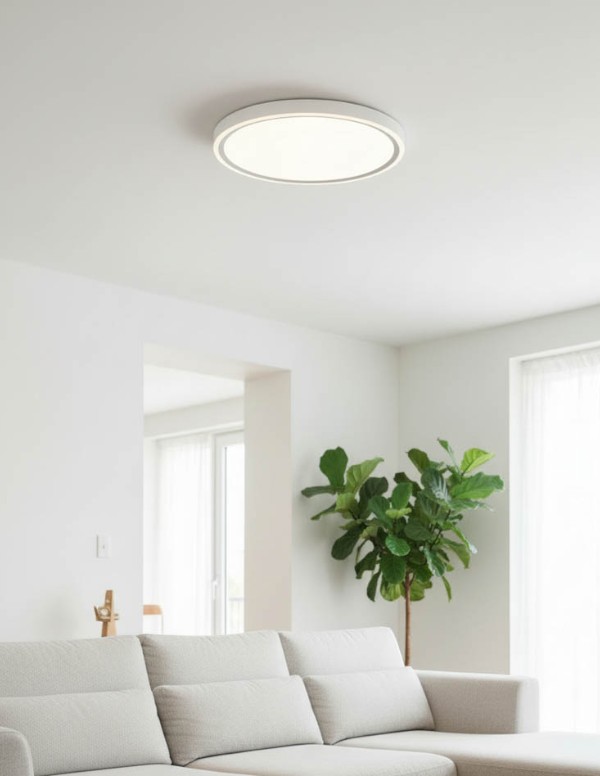 RING-400-40W-WHGY-3 צמוד תקרה RING CCT – תמונה 2